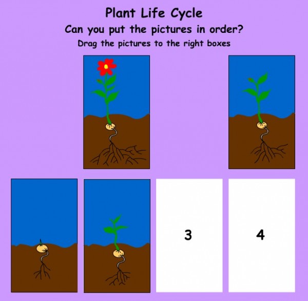 Screenshot_3