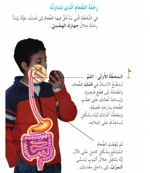 Screenshot_5